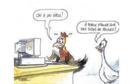 Poules régionales 2015-2016